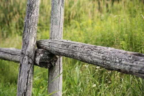 Wooden fence