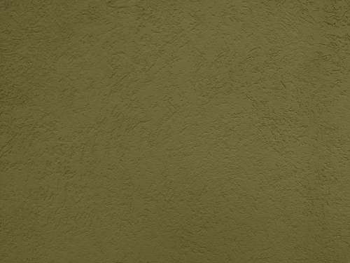 Army Green Textured Wall Close Up