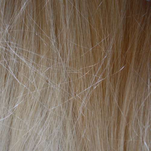 Blonde Hair Texture