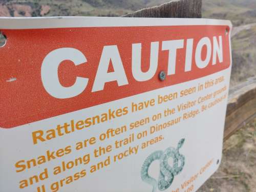 Caution Rattlesnakes Sign