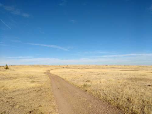 Dirt Road Across Open Prairie