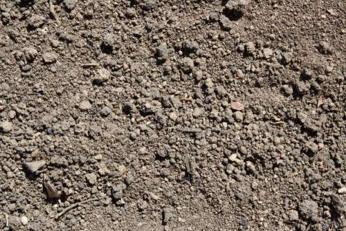 Dirt Texture
