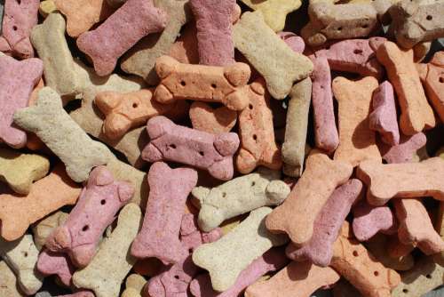 Dog Biscuits Texture