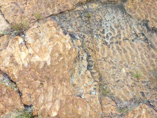 Fossilized Ripple Marks