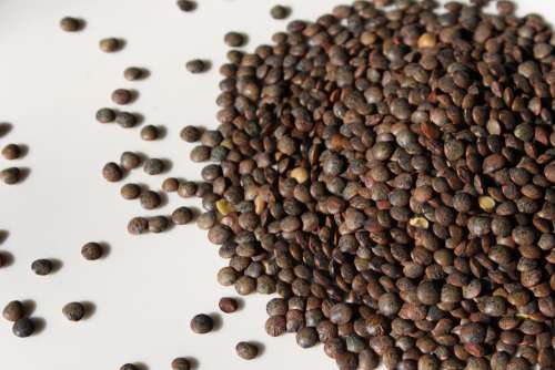 French Green Lentils – Dry