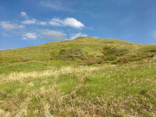 Grass Covered Hill