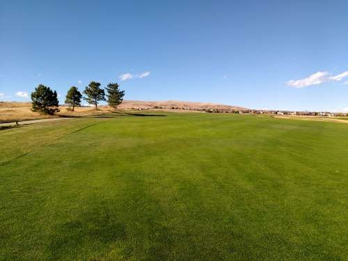 Green Grass and Blue Sky Landscape