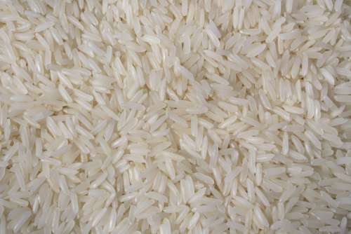 Jasmine Rice Texture