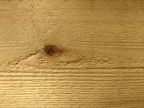 Knot in Wood Texture