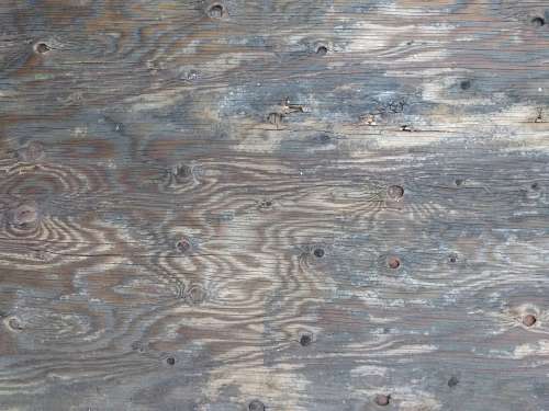 Old Plywood with Knots Texture