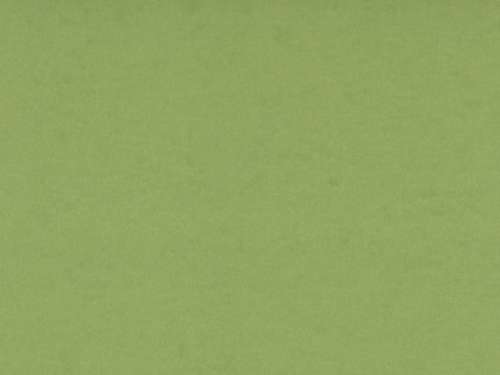 Pea Green Card Stock Paper Texture