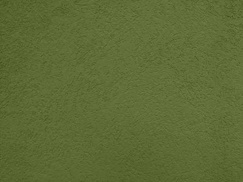 Pea Green Textured Wall Close Up