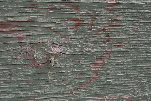 Peeling Green Paint on Old Plywood Texture