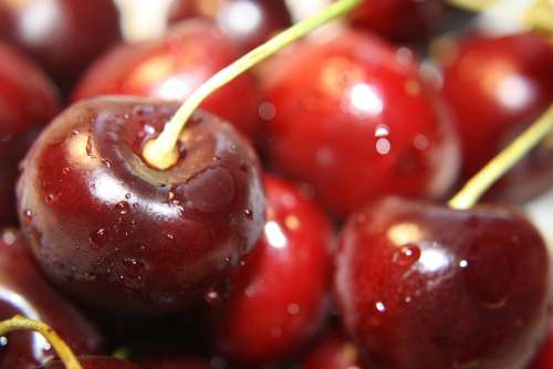 Red Cherries Close Up