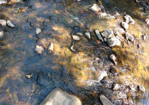 Running Stream Water with Rocks