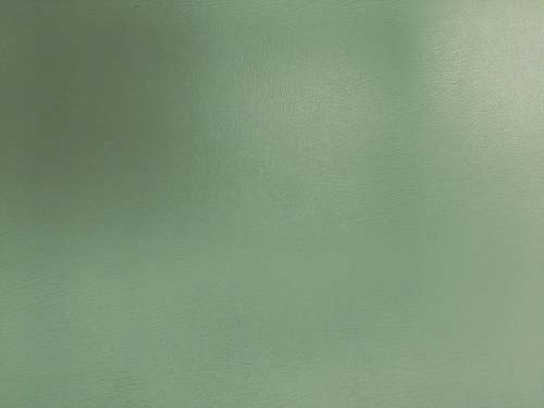 Sage Green Faux Leather Texture