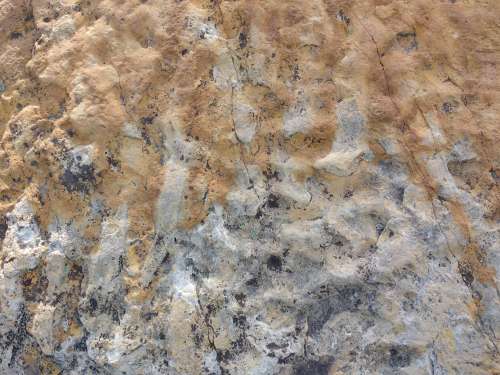 Sandstone with Ripple Marks Texture