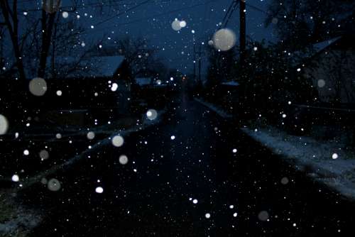 Snow Falling at Night