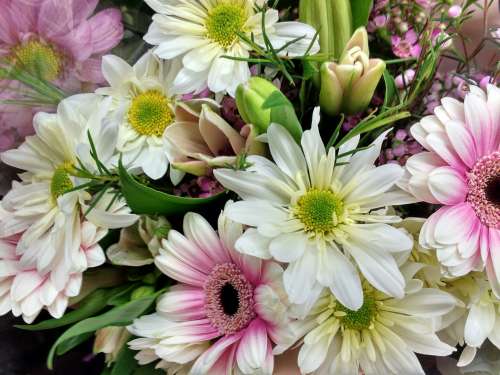 Spring Flowers Bouquet Close up