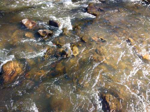 Stream Water with Rocks