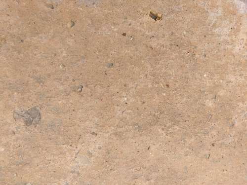 Tan Sandstone Texture