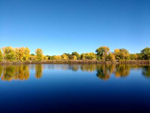 Trees Reflected in Blue Lake
