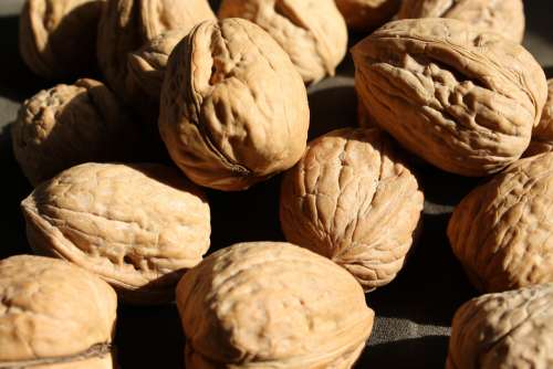 Walnuts in the Shell