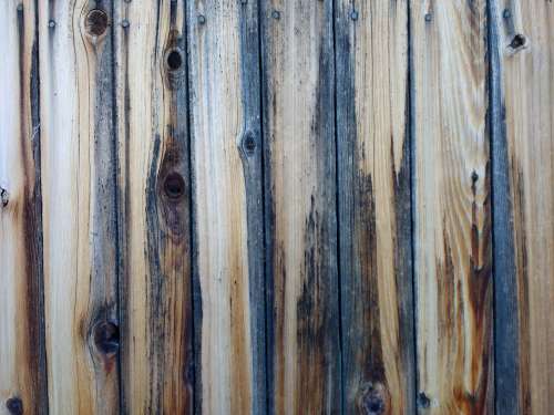 Weathered Wooden Fence Boards Texture