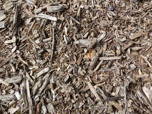 Wood Chips Texture