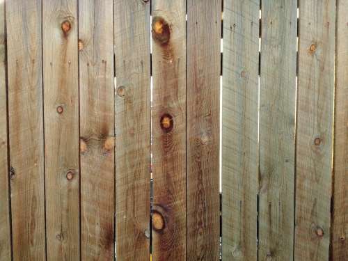 Wood Fence Boards Texture