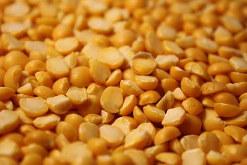 Yellow Split Peas