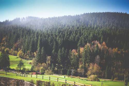 Autumn Morning Panorama