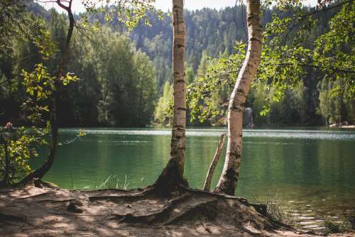 Lakeside Nature in Czech Republic