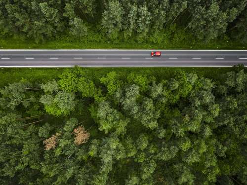 Aerial and Symmetric View of a Road in the Woods