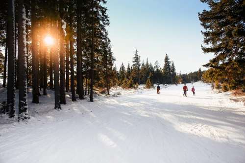 Ski Slope Sunny Skiing under Bright Sky