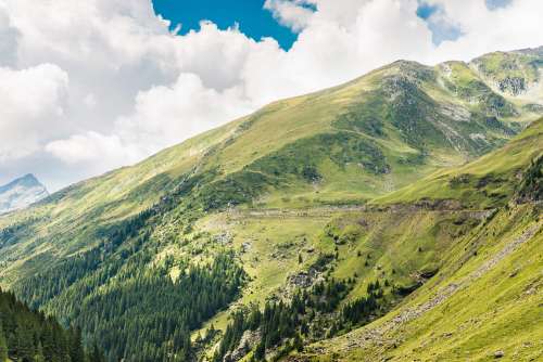 Beautiful Nature in Romanian Mountains