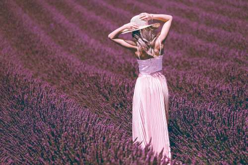 Beautiful Woman Posing in Lavender Field
