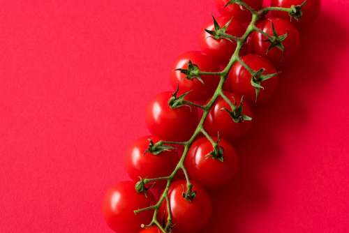 Cherry Tomatoes on Red Background with Room for Text