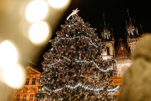 Christmas Tree on Prague Old Town Square