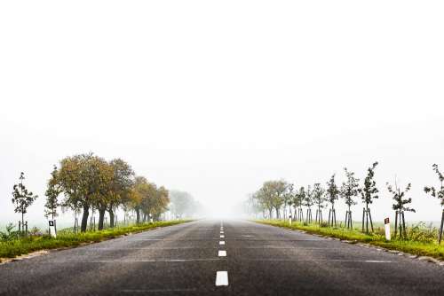 Foggy Road to Nowhere