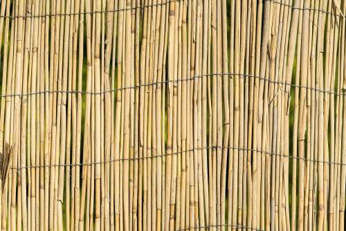 Garden Bamboo Wall Fence Texture Background