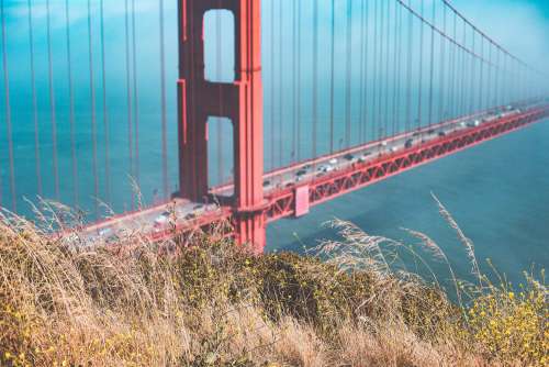 Grass with Golden Gate Bridge in Background