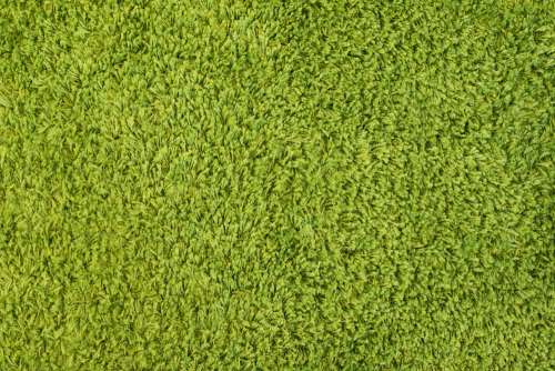 Green High Pile Carpet Close Up Pattern Background