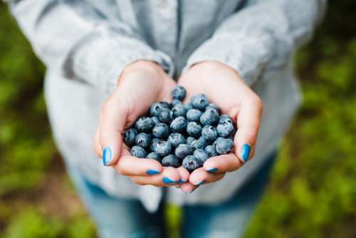 Handful of Blueberries