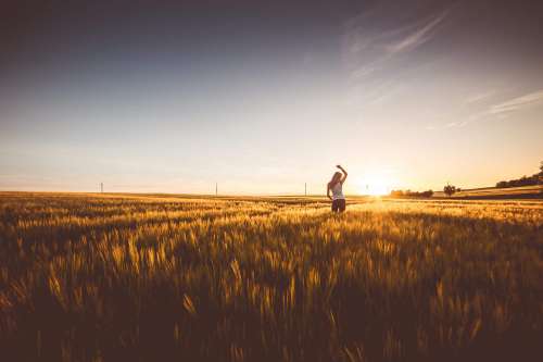 Happy Girl Dancing in a Wheat Field on Sunset