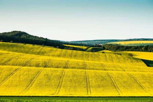 Hills and Fields of South Moravia, Czechia