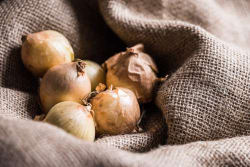 Onions in Sack