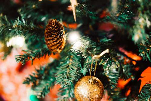 Pine Cone on Christmas Tree Close Up