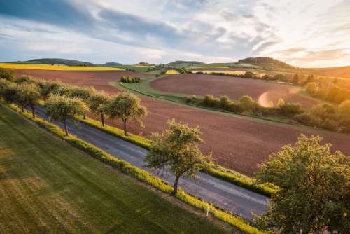 Road Between Fields