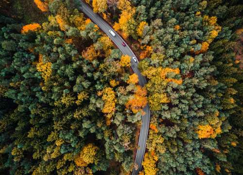 Road in the Woods Aerial